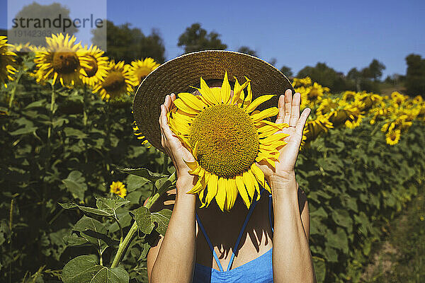 Frau bedeckt Gesicht mit Sonnenblume im Feld