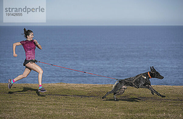 Frau übt Canicross mit Hund auf Gras