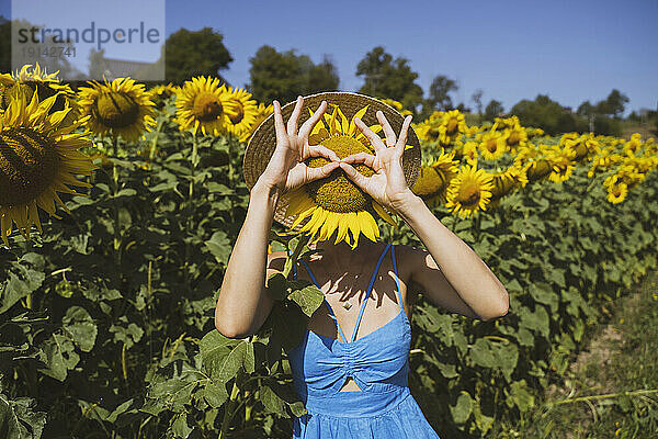 Verspielte Frau bedeckt Gesicht mit Sonnenblume im Feld