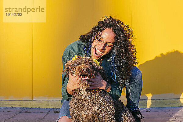 Glückliche Frau spielt mit Wasserhund vor gelber Wand