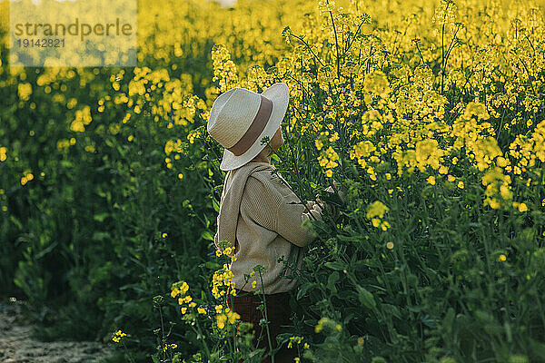 Junge mit Hut versteckt sich inmitten von Blumen im Rapsfeld