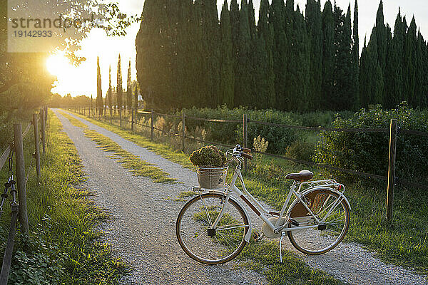 Fahrrad auf Fußweg bei Sonnenuntergang