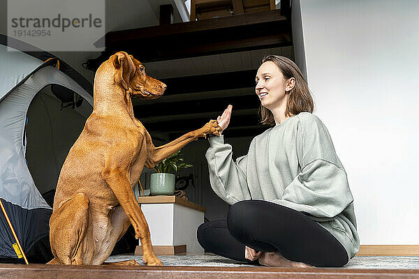 Woman giving high-five to Vizsla dog at home