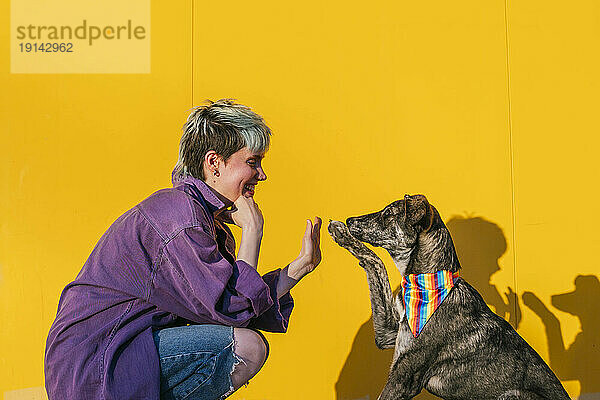 Glückliche lesbische Frau gibt Hund vor gelber Wand High-Five