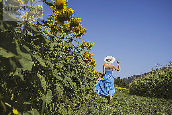 Frau verbringt ihre Freizeit an einem sonnigen Tag im Sonnenblumenfeld