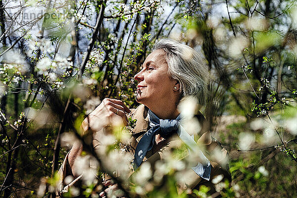 Lächelnde reife Frau  die Blumen im Wald riecht