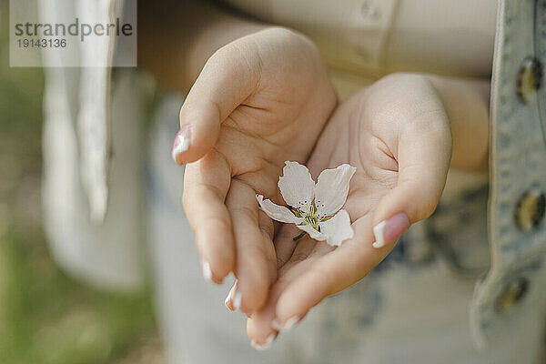 Nahaufnahme einer jungen Frau mit weißer Blume