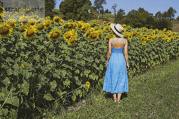 Frau steht an sonnigem Tag neben Sonnenblumen im Feld