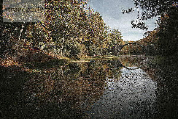 Deutschland  Sachsen  See im Herbst mit der Rakotzbrücke im Hintergrund