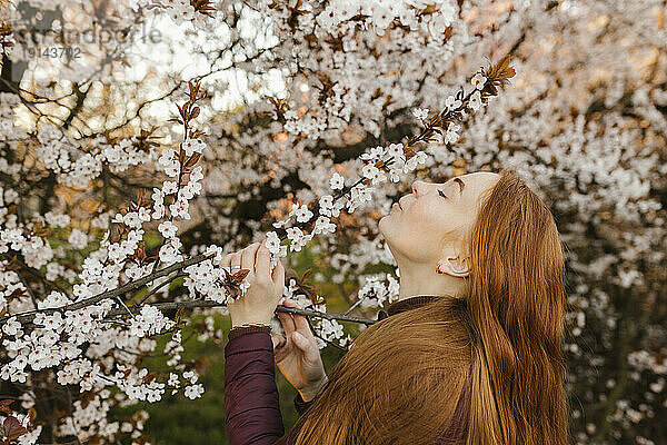 Frau riecht Blumen am Baum im Park