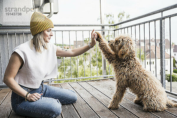 Lächelnde Frau mit Hund gibt einander auf dem Balkon High-Five