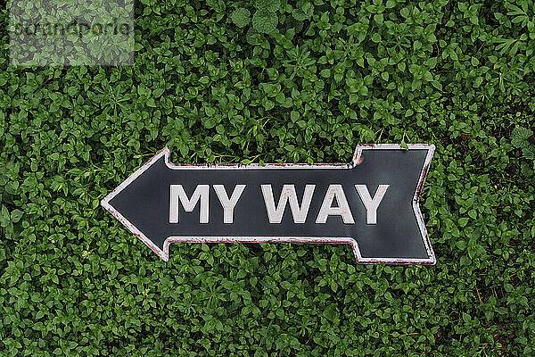 Mein Weg-Schild auf grünem Gras