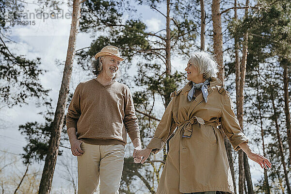 Romantisches Paar hält sich an den Händen und geht im Wald spazieren