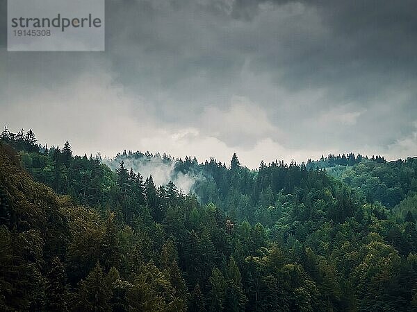 Friedliche Herbstszene im Karpatengebirge mit Mischwald auf den Hügeln an einem düsteren Tag. Natürliche Herbstlandschaft in den Wäldern  regnerisches Wetter mit nebligen Wolken über den Bäumen