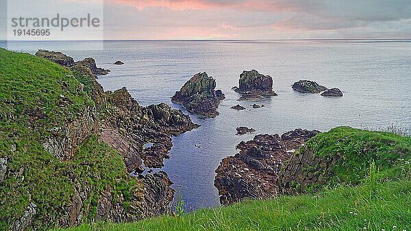 Felsenküste  etwa einen Kilometer östlich von Cruden Bay  Aberdeenshire