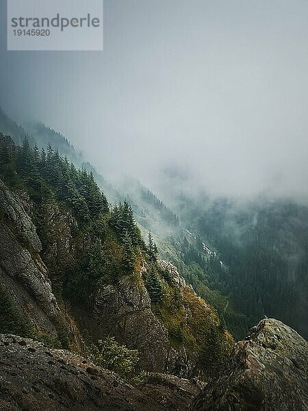 Idyllischer Blick auf das neblige Tal vom Gipfel des Berges. Dichte Nebelschwaden über dem Kiefernwald der Karpaten
