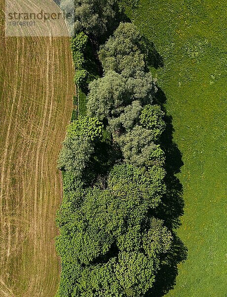 Drohnenaufnahme  Laubwald  Baumgruppe mit Wiese  von oben  Struktur  Agrarlandschaft  Oberhofen  Hausruckviertel  Oberösterreich  Österreich  Europa
