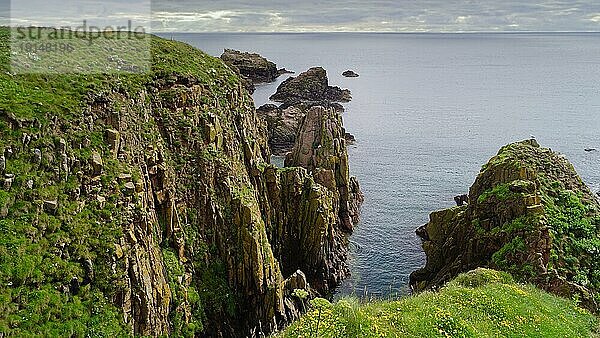 Felsenküste  etwa einen Kilometer östlich von Cruden Bay  Aberdeenshire