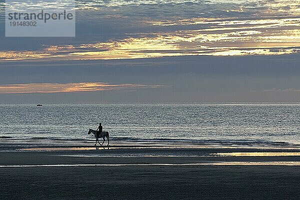 Sonnenuntergang an der belgischen Küste  Silhouette eines Reiters am Strand  De Haan  Le Coq  Westflandern  Belgien  Europa