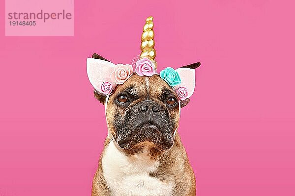 Französische Bulldogge Hund trägt Einhornkostüm Stirnband mit Blumen und goldenen Horn vor rosa Hintergrund