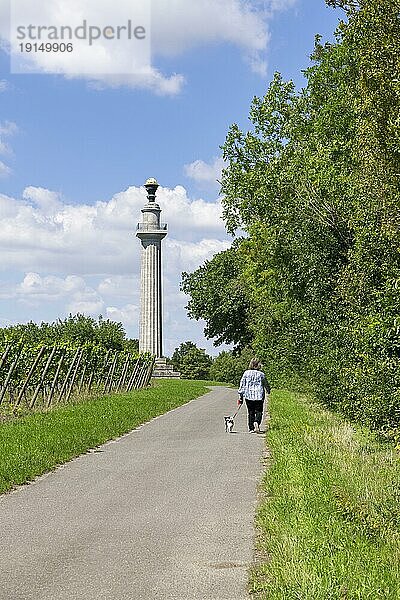 Konstitutionssäule  Gaibach  Frau mit kleinem Hund  Weg  Weinberg  Volkach  Mainfranken  Unterfranken  Franken  Bayern  Deutschland  Europa