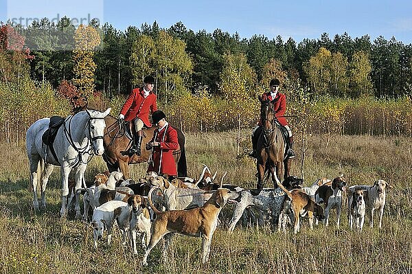 Jäger zu Pferd mit Hundemeute bei der Schleppjagd im Herbst  einer Alternative zur Fuchsjagd