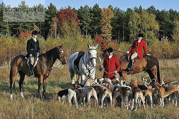 Jäger zu Pferd mit Hundemeute bei der Schleppjagd im Herbst  einer Alternative zur Fuchsjagd