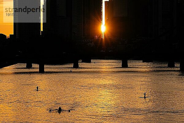 Einige Stehpaddler paddeln kurz vor Sonnenuntergang auf dem Main in Frankfurt  währen die Sonne ein letztes Mal zwischen den Hochhäusern der Bankenskyline hindurch strahlt.  Osthafen  Frankfurt am Main  Hessen  Deutschland  Europa