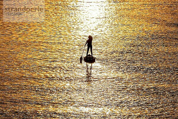 Ein Stehpaddler paddelt bei Sonnenuntergang auf dem Main in Frankfurt.  Osthafen  Frankfurt am Main  Hessen  Deutschland  Europa