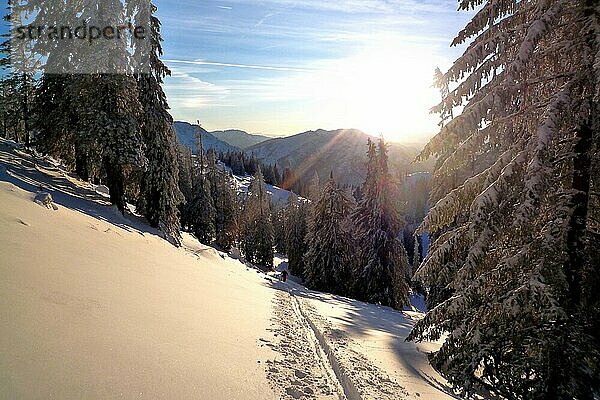 Skitour im Hochwinter  Aufstieg von Inzell zum Kienberg  Chiemgauer Alpen  Bayern  Deutschland  Europa