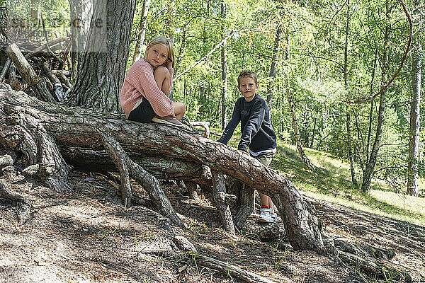 Zwei Kinder  7 und 10 Jahre alt  spielen auf Luftwurzeln im Wald in Ystad  Schonen  Schweden  Skandinavien  Europa