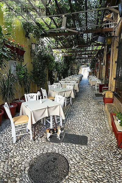 Gemütliche Restaurants  Rhodos Stadt  Rhodos  Griechenland  Europa