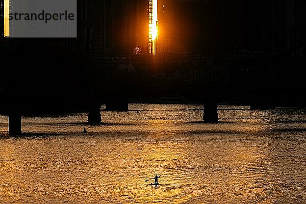 Einige Stehpaddler paddeln kurz vor Sonnenuntergang auf dem Main in Frankfurt  währen die Sonne ein letztes Mal zwischen den Hochhäusern der Bankenskyline hindurch strahlt.  Osthafen  Frankfurt am Main  Hessen  Deutschland  Europa