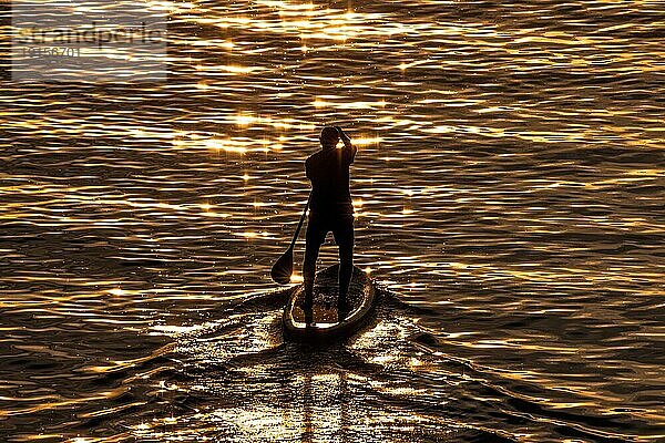 Ein Stehpaddler paddelt bei Sonnenuntergang auf dem Main in Frankfurt.  Osthafen  Frankfurt am Main  Hessen  Deutschland  Europa