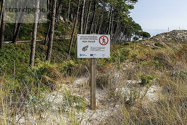 Zeichen Schutzgebiet (Zerynthia Rumina) Schmetterling  Cies Inseln  Atlantikinseln Galicia Maritime Terrestrial National Park