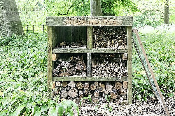 Bug Hotel Lebensraum für Insekten in einem Waldgebiet  Lacock  Wiltshire  England  UK
