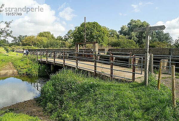 56 Gates Hochwasserschutzbarriere Fluss Stour  nahe Flatford  East Bergholt  Suffolk  England  UK