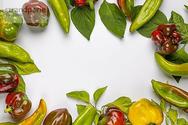 Rahmen aus verschiedenen Paprikasorten (Capsicum) und Blättern der Paprikapflanze  weißer Hintergrund  Rahmen  Kopierraum