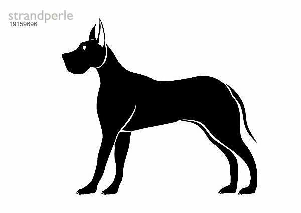 Stilisierte Vektor Silhouette einer Deutschen Dogge auf weißem Hintergrund