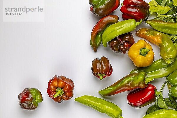 Verschiedene Paprika (Capsicum)  Rot  Grün  Gelb  weißer Hintergrund  Kopierraum