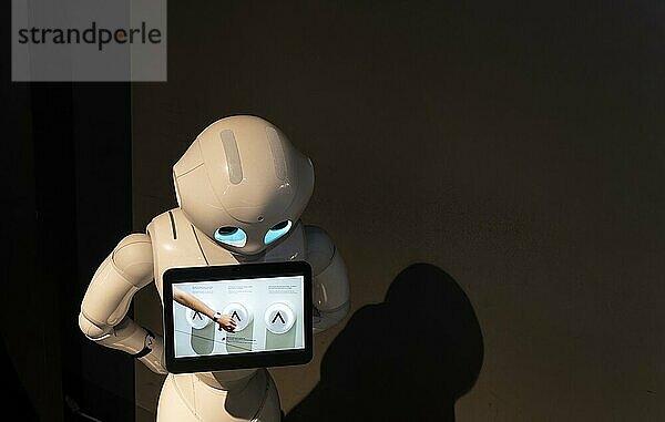 Roboter  Ausstellung Zukunft entdecken  Denkräume im Futurium  Berlin  Deutschland  Europa
