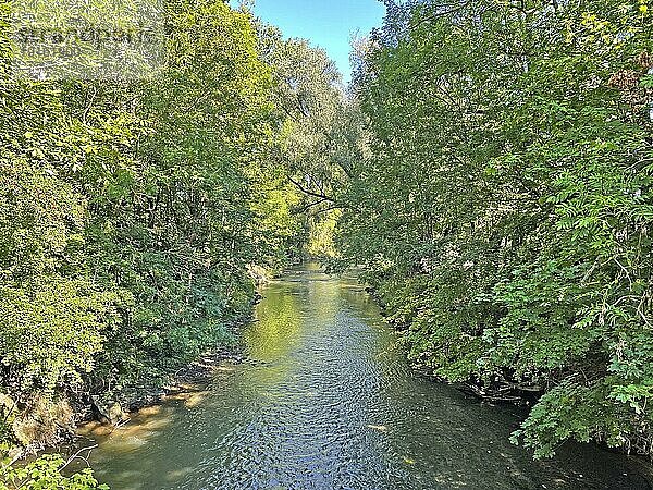 Natürlicher Flusslauf  Tauber  Tauberfranken  Main-Tauber-Kreis  Lauda-Königshofen  Baden-Württemberg  Deutschland  Europa