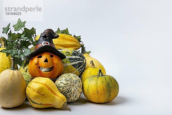 Verschiedene Zierkürbisse mit Efeuranke und Halloweendeko  weißer Hintergrund  Kopierraum