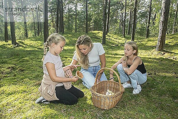 Blonde Frau mit zwei Mädchen  7 und 10 Jahre alt  auf der Suche nach Pilzen im Wald in Ystad  Schonen  Schweden  Skandinavien  Europa