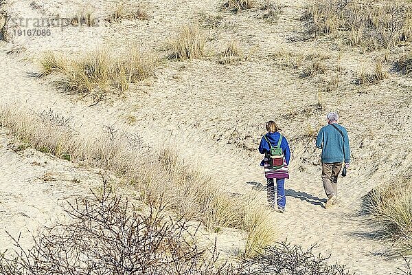 Zwei Wanderer in den Sanddünen des Naturschutzgebietes De Westhoek  West Corner bei De Panne  Westflandern  Belgien  Europa