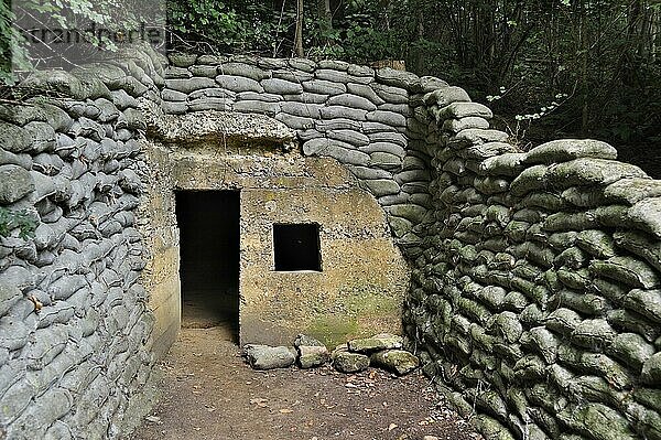 Einer von vier britischen Bunkern als Hauptquartier auf dem Lettenberg  dem Gelände des Ersten Weltkriegs am Kemmel  Belgien  Europa