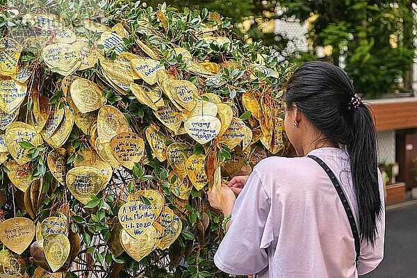 Buddhistische goldene Blätter mit Wünschen und Segenswünschen an einem Bodhibaum im selektiven Fokus im Vordergrund  eine nicht erkennbare erwachsene Frau bindet ein Blatt an einen Ast. Mehrsprachige handschriftliche Inschriften  traditionelles Gebet im Buddhismus  thailändische Rituale