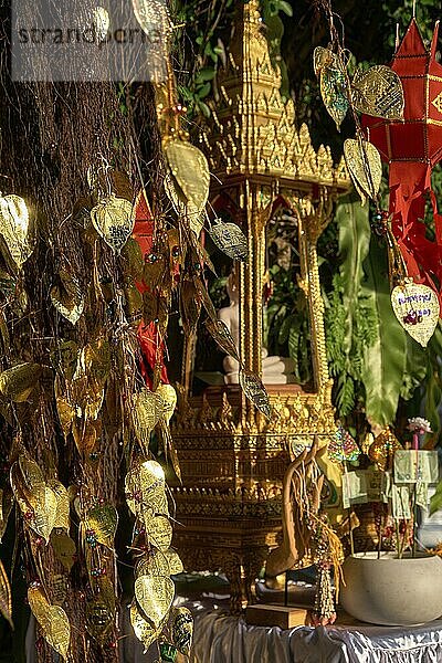 Traditioneller thailändischer Buddha Altar als Busabok mit Geld und Räucherstäbchenopfern  bunten Lanna Laternen. Bodhibaum mit goldenen Blättern mit Wünschen und Versprechen in vielen Sprachen. Selektiver Fokus  unscharfer Hintergrund. Goldener Berg  Bangkok  Thailand  Asien