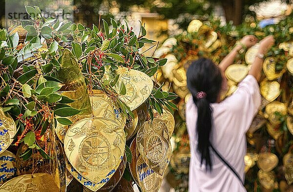 Buddhistische goldene Blätter mit Wünschen und Segenswünschen an einem Bodhibaum im selektiven Fokus im Vordergrund  weibliche Erwachsene im unscharfen Hintergrund  die ein Blatt an einen Zweig bindet. Mehrsprachige handschriftliche Inschriften  traditionelles Gebet im Buddhismus  thailändische Rituale