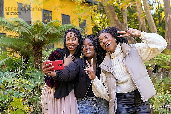 Afroamerikanische Freunde gestikulieren erfolgreich  während sie ein Selfie in einem Park machen